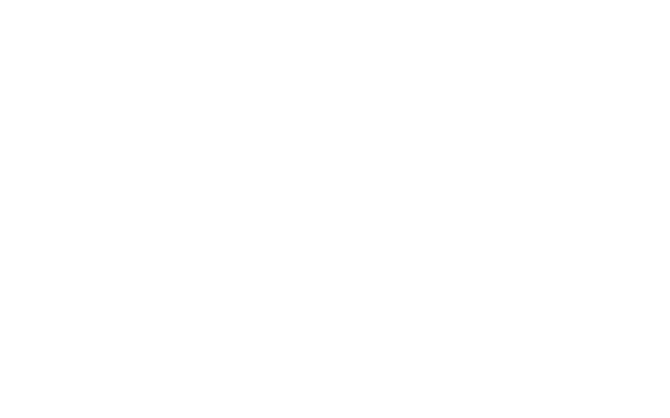 DC Fontana
